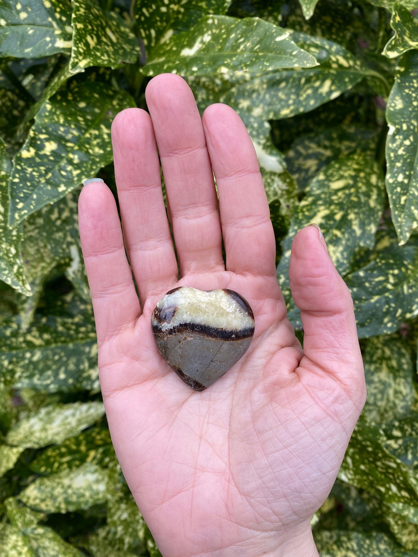 Septarian Dragon Polished Small Heart Shaped Natural Stone - Confidence Patience and Strength