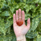 Natural Carnelian Agate Small Heart Shaped polished Stone about 1 Across manifestation Passion Creativity Vitality