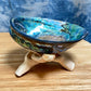 Polished High Quality Abalone shell with natural wood stand