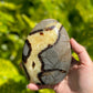 Septarian Dragon Polished Freeform Stone / 1-2 pounds each / Fossilized mud / Supports Confidence Patience and Strength