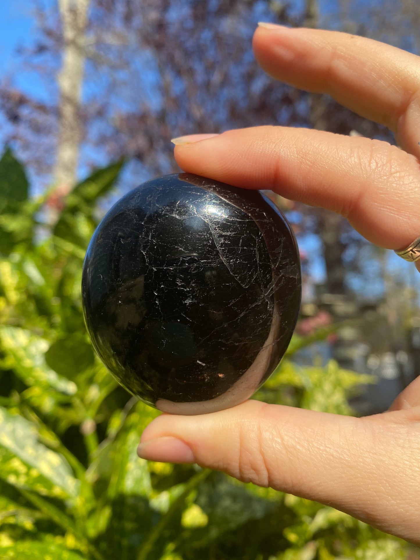 Polished Black Tourmaline Palm Stone natural Specimen / Supports Protection Security Setting Boundaries