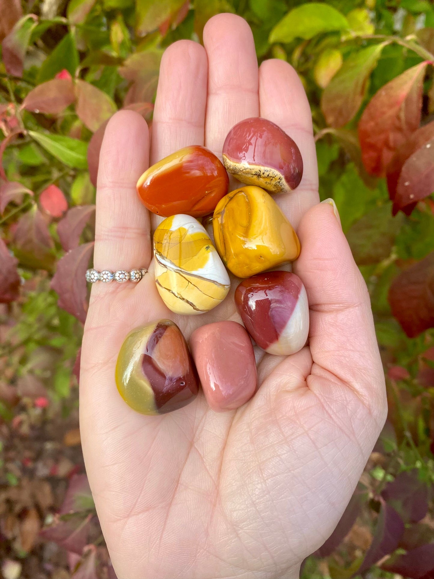 Natural Mookaite Jasper Tumbled Stone / about 1 across/ polished natural crystal