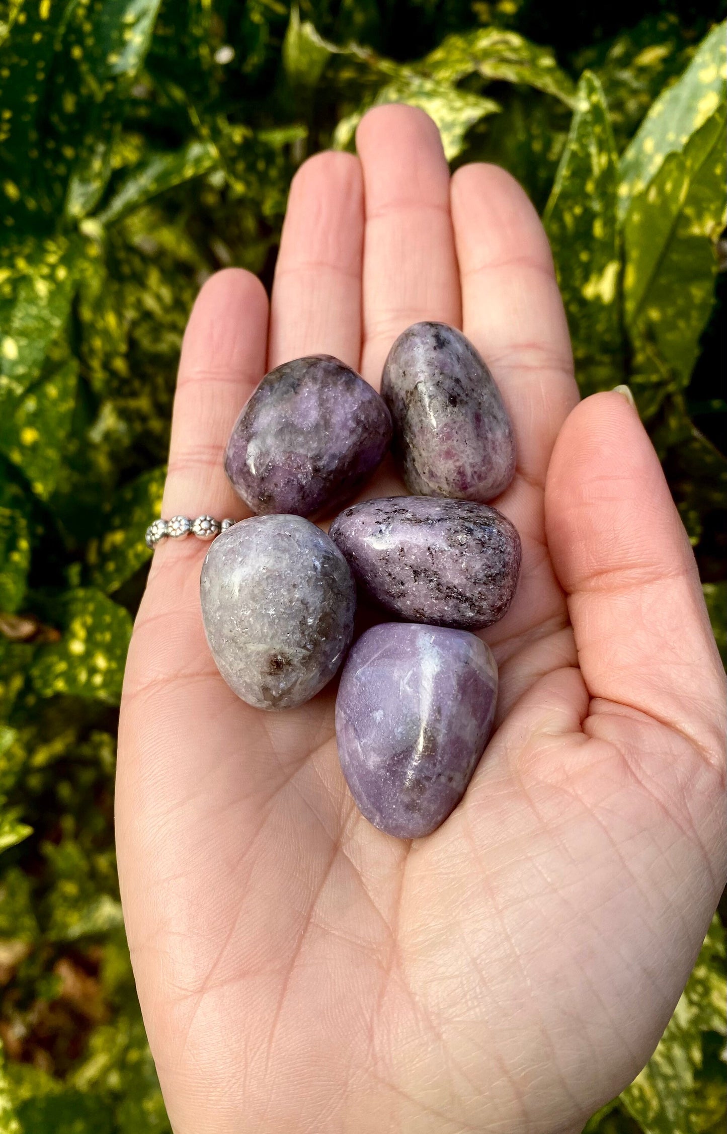 Polished Lepidolite Tumble Stone / Mood Stabilizing  / Calming / Stones for Grief