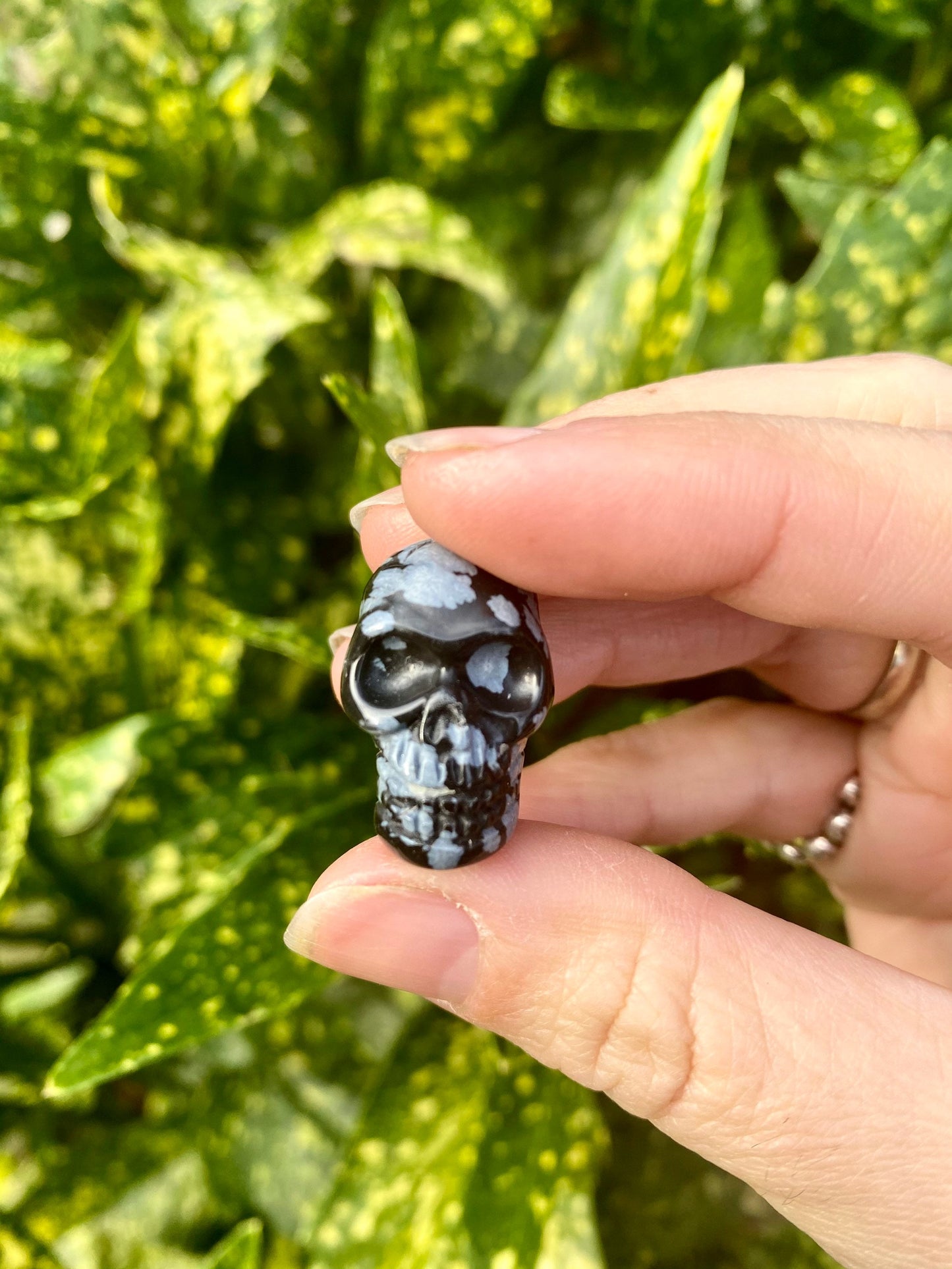 NO PICK Assorted 1 Mini Crystal Skulls