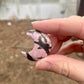 Small Rhodonite Natural Moon Shaped Stone / about 1 across/ polished crystal / Heart Chakra stone