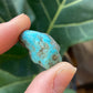Genuine Real Peruvian Turquoise Tumbled Stone / Genuine Turquoise /Spirit Guide/ Throat Chakra